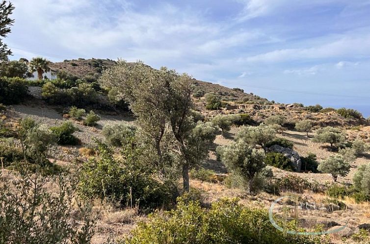 Kavel in Triopetra