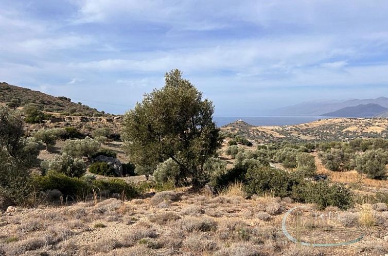 Kavel in Triopetra