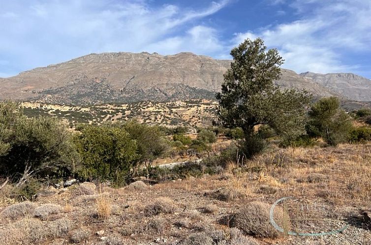 Kavel in Triopetra