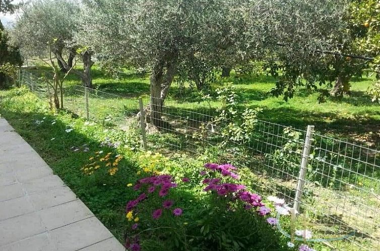 Vrijstaande woning in Peri