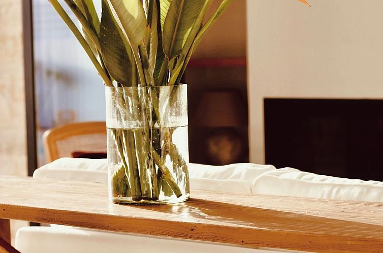 Vakantiehuis "Villa Nepenthe"