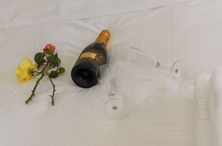 Vakantiehuis Villa Delfini 3