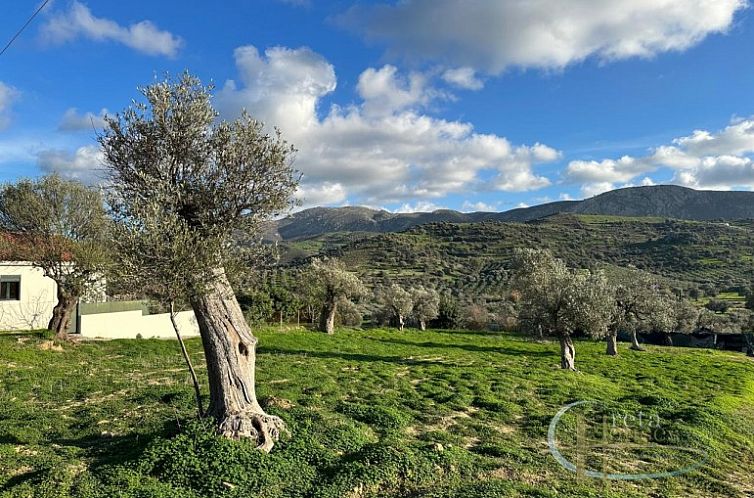 Kavel in Sivas