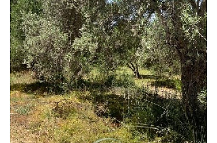 Kavel in Sivas