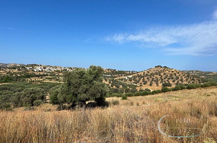 Kavel in Sivas