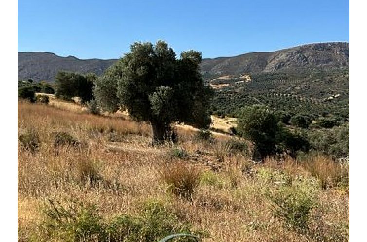 Kavel in Sivas