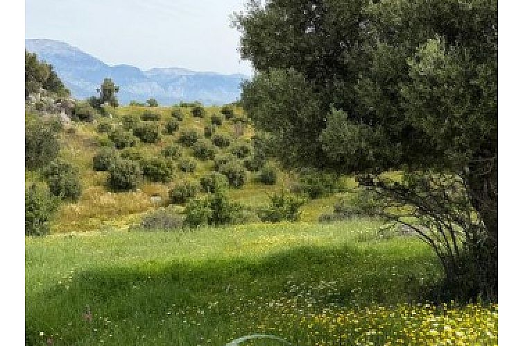 Kavel in Sivas