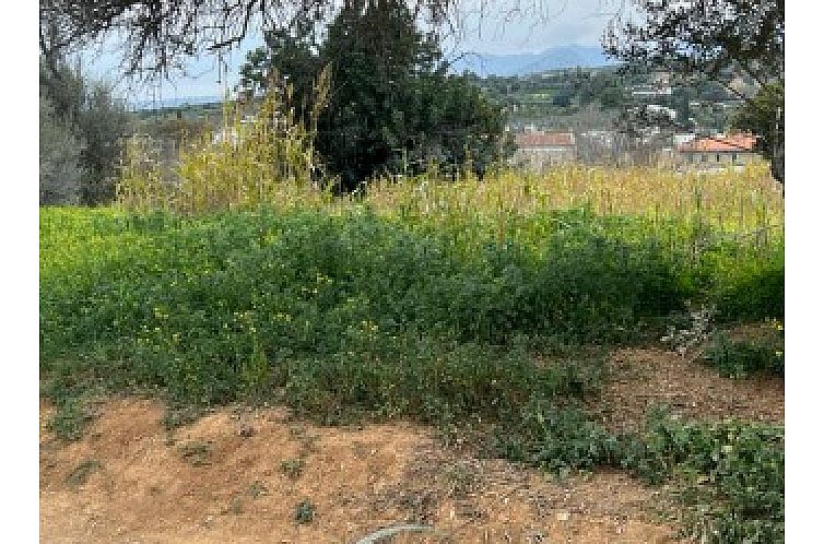 Kavel in Faneromeni