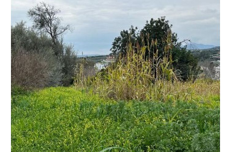 Kavel in Faneromeni