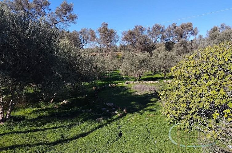 Kavel in Faneromeni