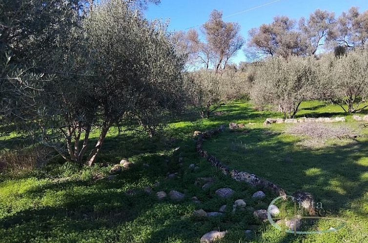 Kavel in Faneromeni