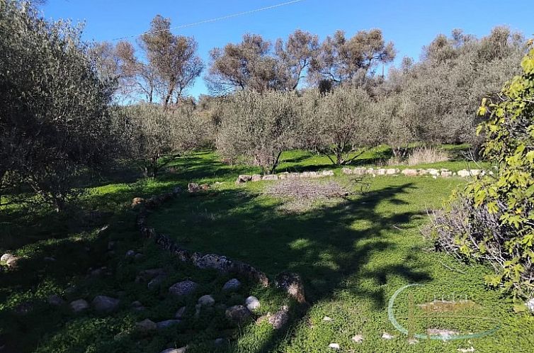 Kavel in Faneromeni