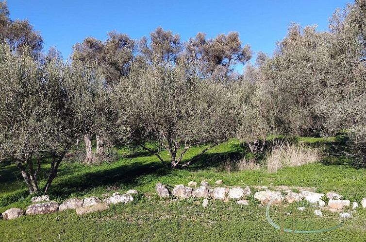 Kavel in Faneromeni