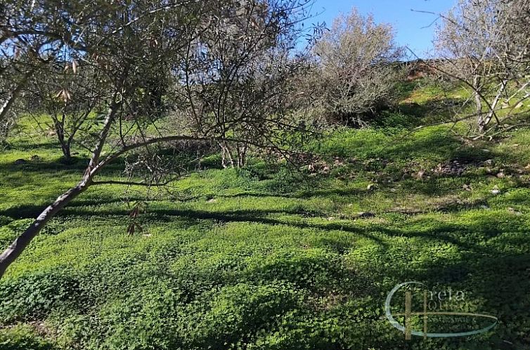Kavel in Faneromeni