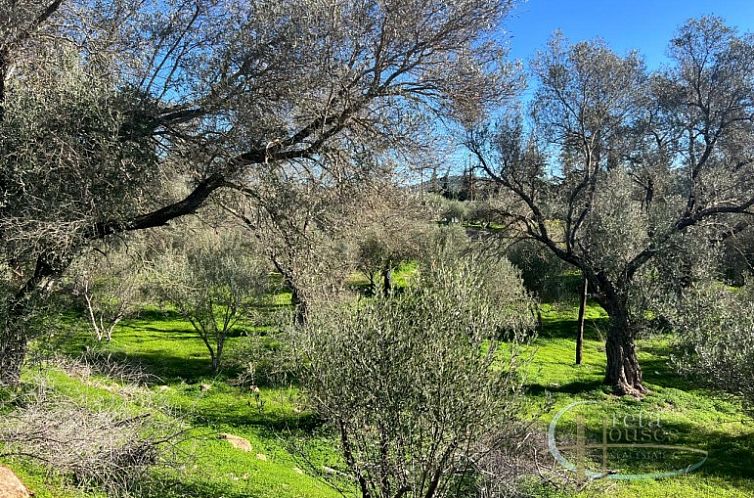 Kavel in Faneromeni