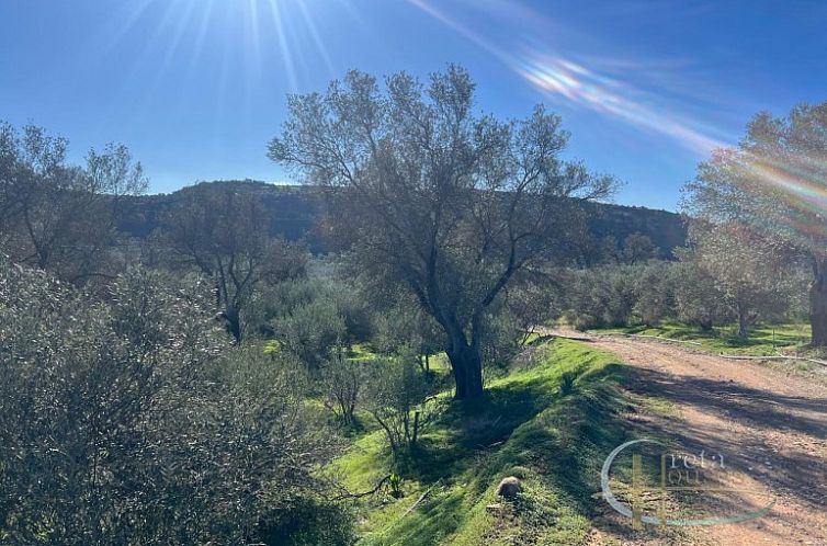 Kavel in Faneromeni