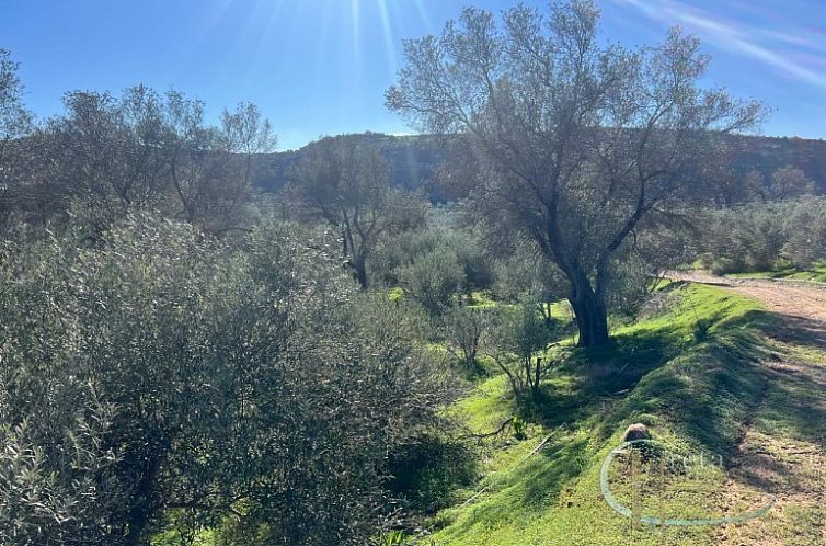Kavel in Faneromeni