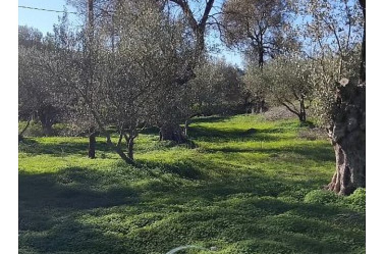 Kavel in Faneromeni