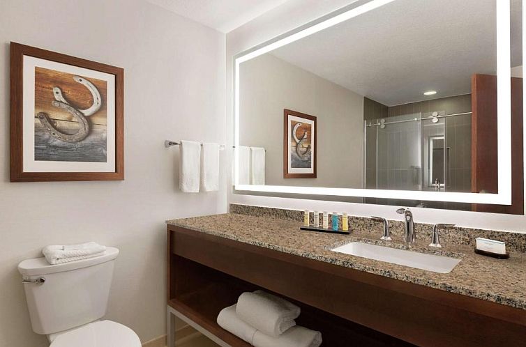 Embassy Suites Dallas - DFW Airport North