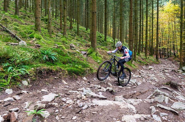 Vakantiehuis in Mont-Malmédy