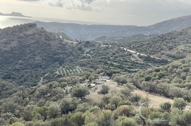 Kavel in Agia Galini