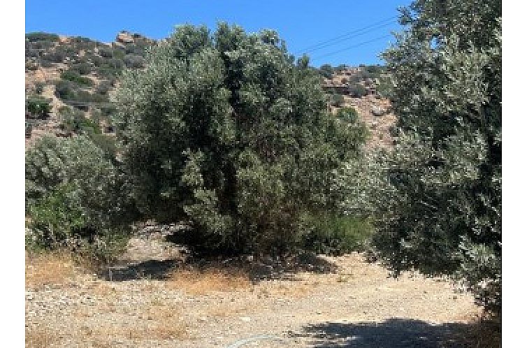 Kavel in Agia Galini