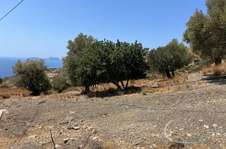 Kavel in Agia Galini