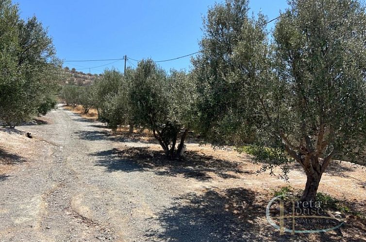 Kavel in Agia Galini