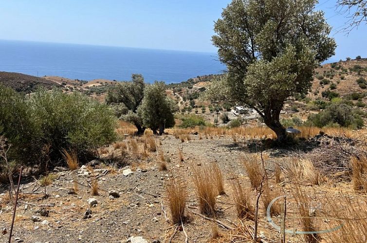 Kavel in Agia Galini