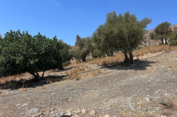 Kavel in Agia Galini