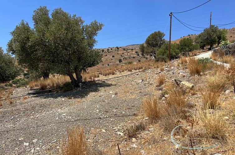 Kavel in Agia Galini