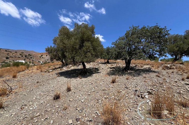 Kavel in Agia Galini