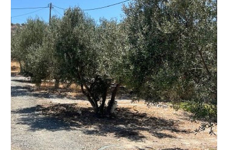 Kavel in Agia Galini