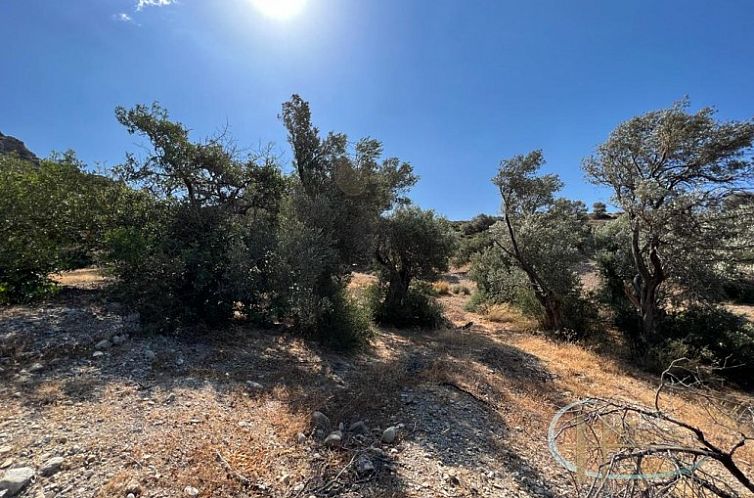 Kavel in Agia Galini