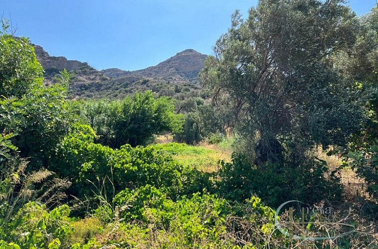 Kavel in Agia Galini