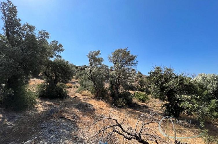Kavel in Agia Galini