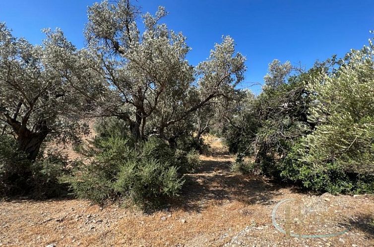 Kavel in Agia Galini