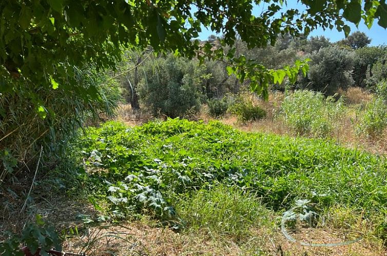 Kavel in Agia Galini