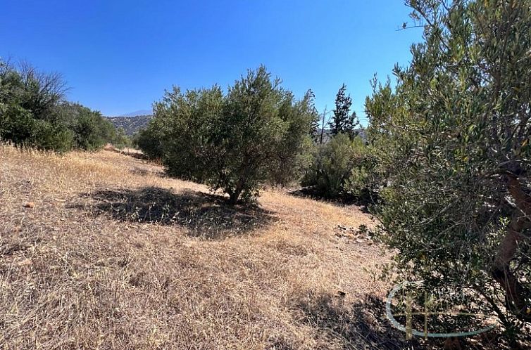 Kavel in Agia Galini