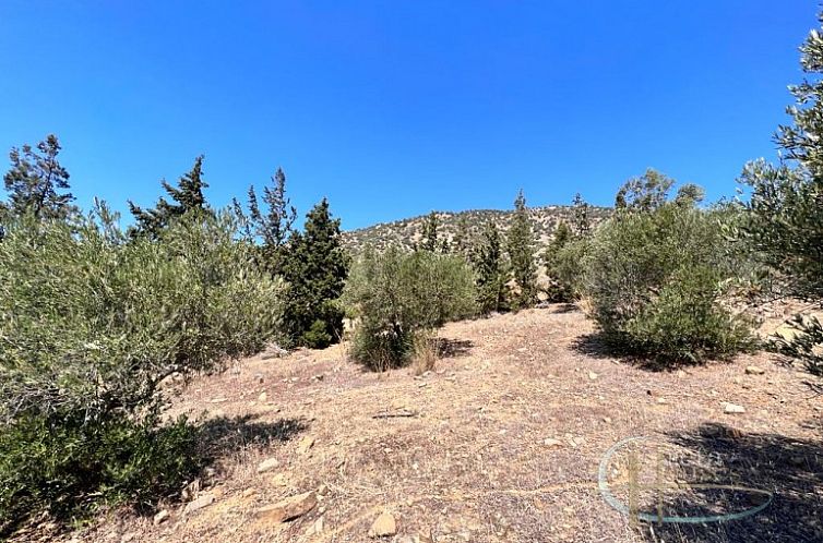 Kavel in Agia Galini