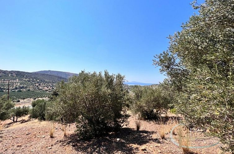 Kavel in Agia Galini