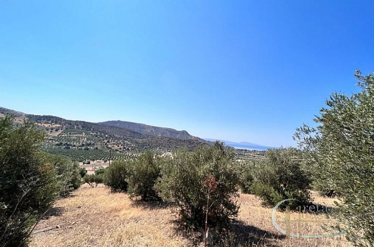 Kavel in Agia Galini