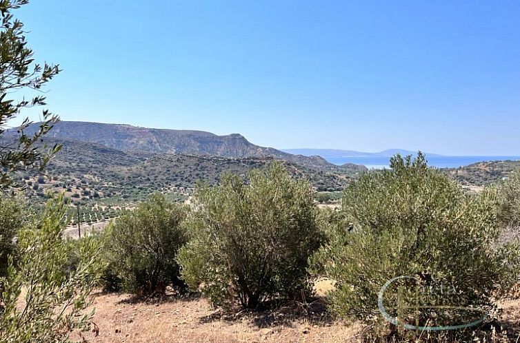 Kavel in Agia Galini