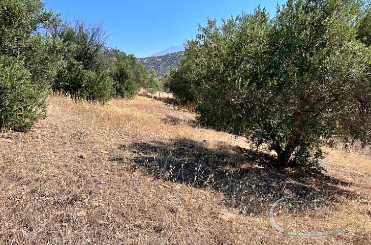 Kavel in Agia Galini