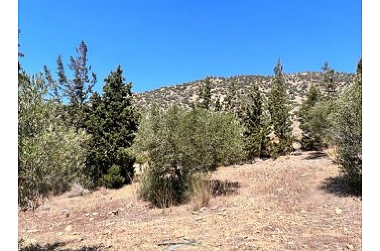 Kavel in Agia Galini