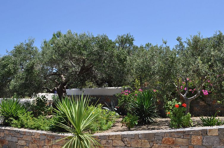 Vakantiehuis Nefeli Blue Villa in altem Olivenhain, Meerblic
