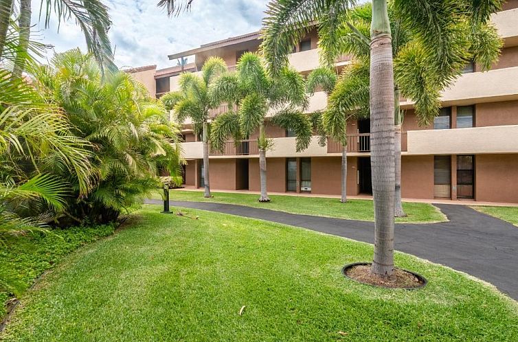 Maui Vista