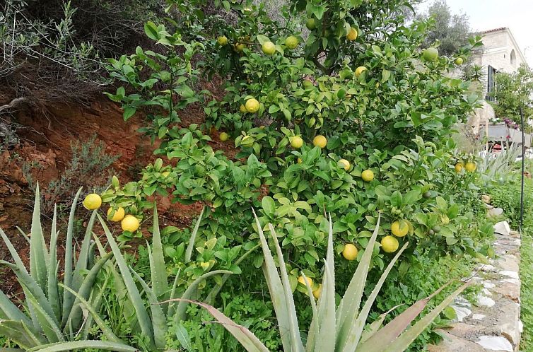 Vakantiehuis BIO-Energie-Villa Antonis