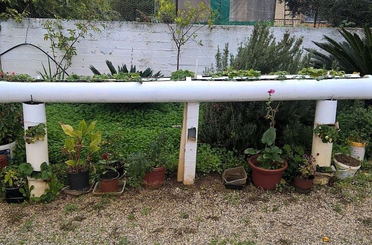 Appartement Zinovia Studio mit Balkon