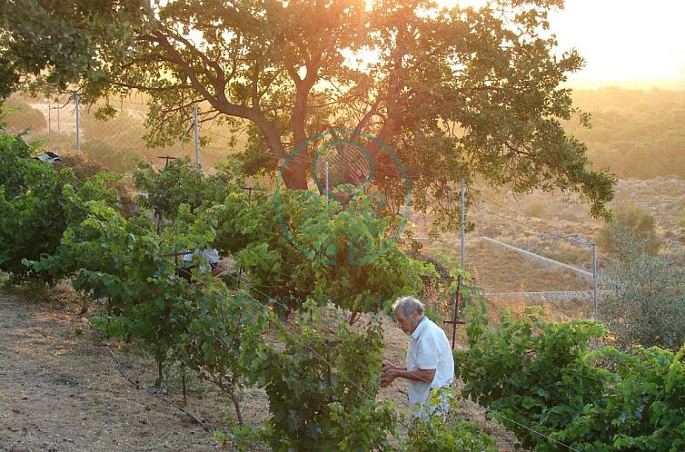 Vrijstaande woning in Atsipopoulo
